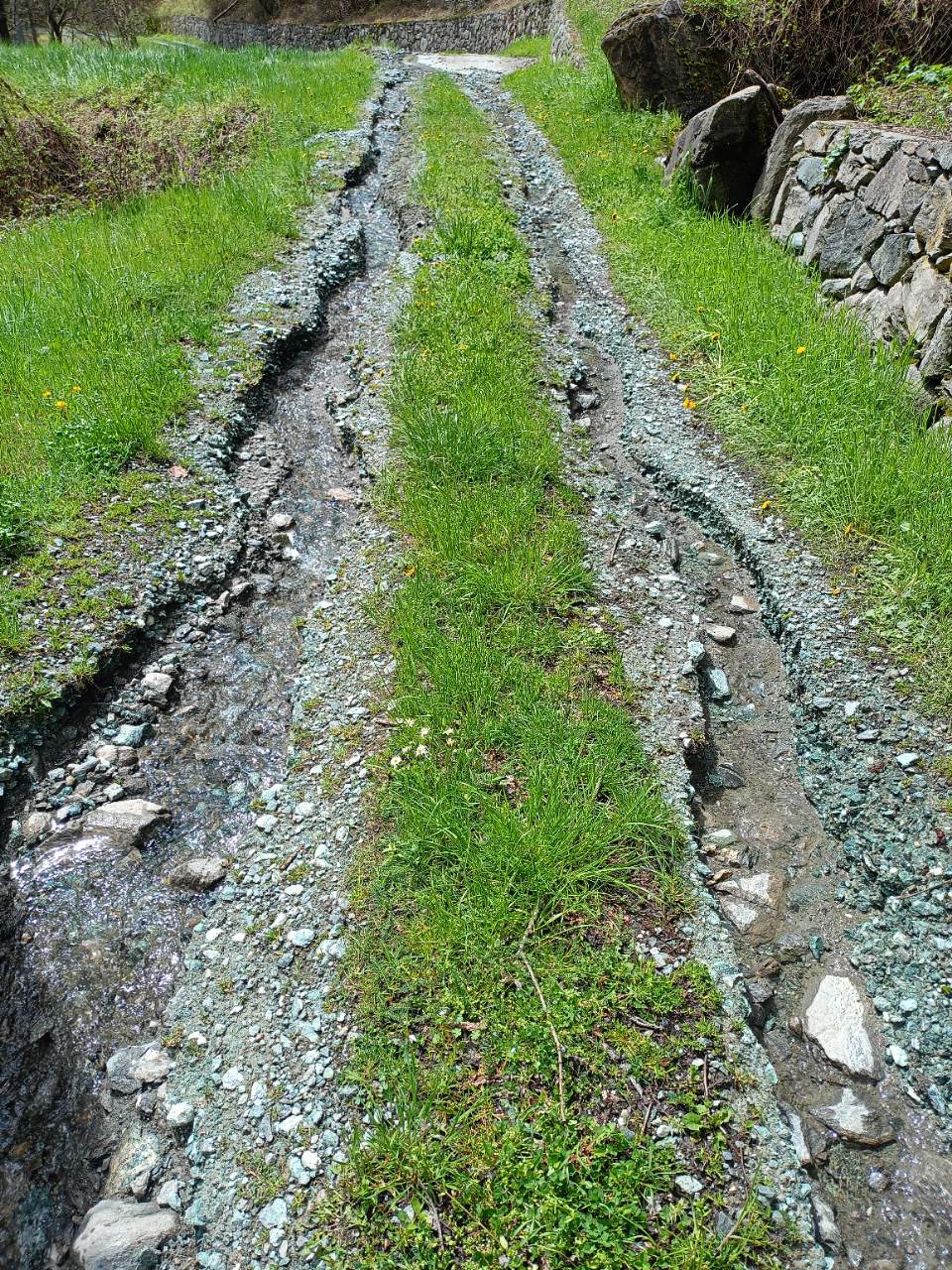 Glaire