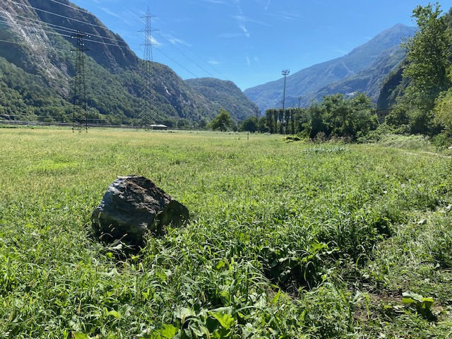 Scheda di dettaglio Campagna di Hone