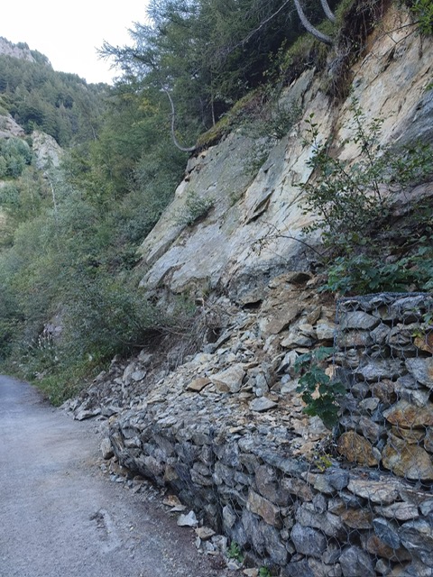 Scheda di dettaglio Chavanna