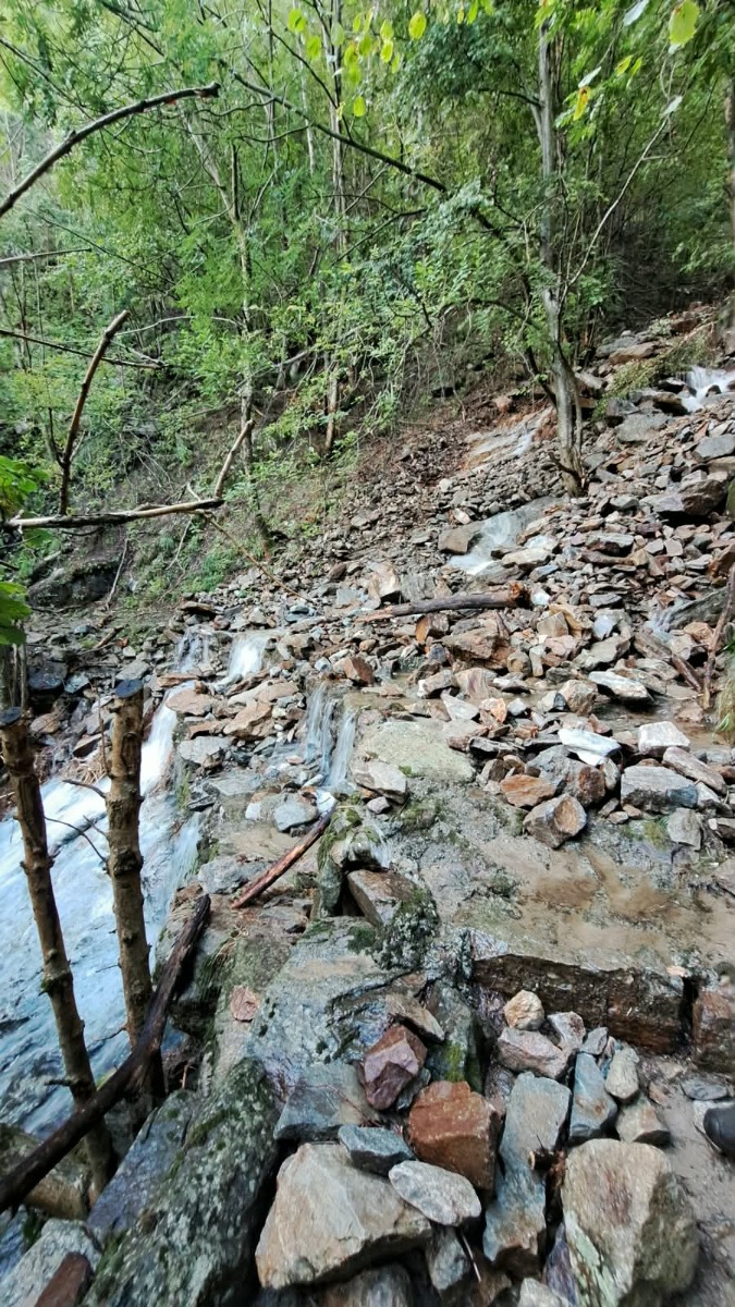 Fontanelle