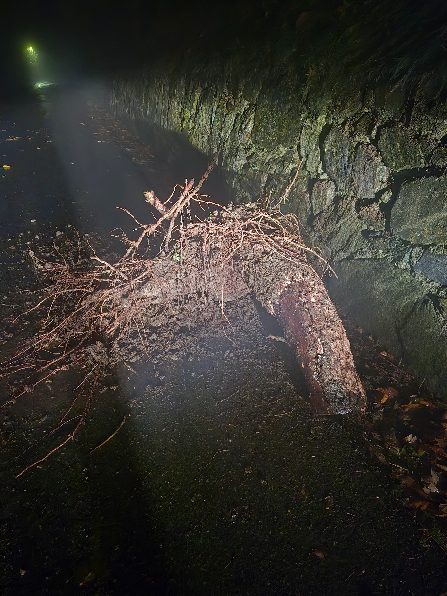 Scheda di dettaglio Arlod