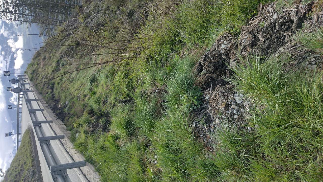 Chaillod - SR 41 km 19