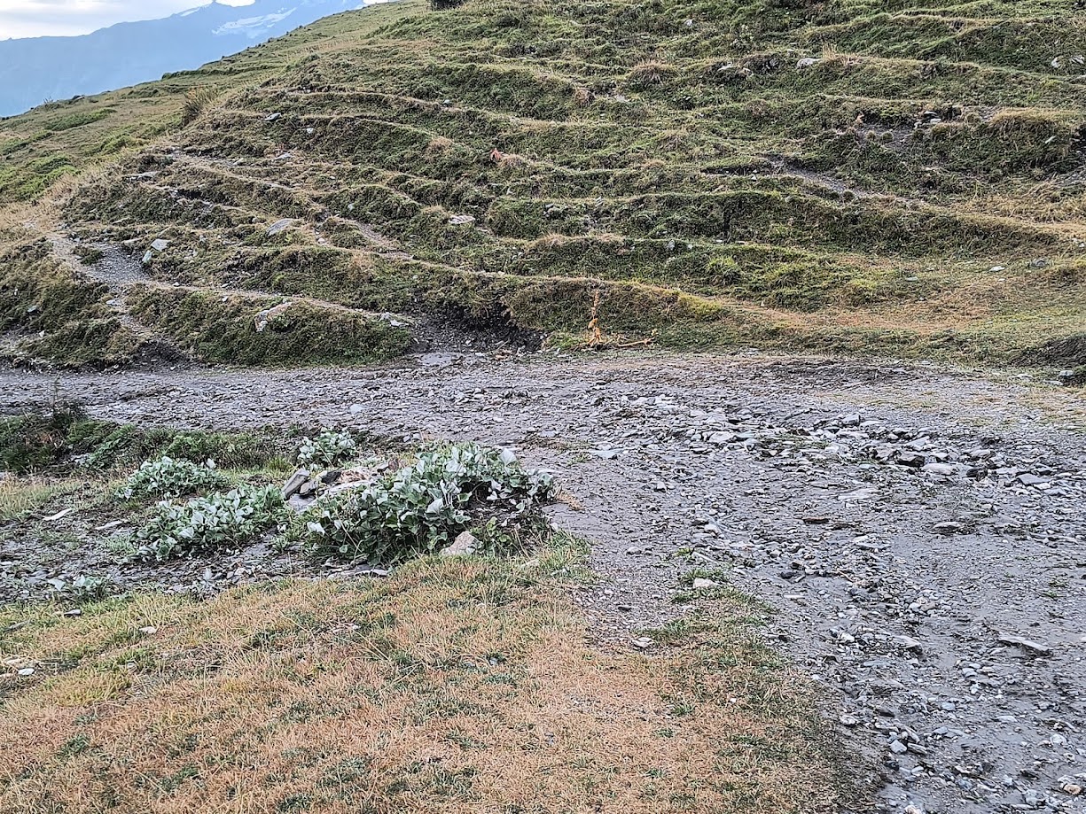 A valle Alpeggio Pesse