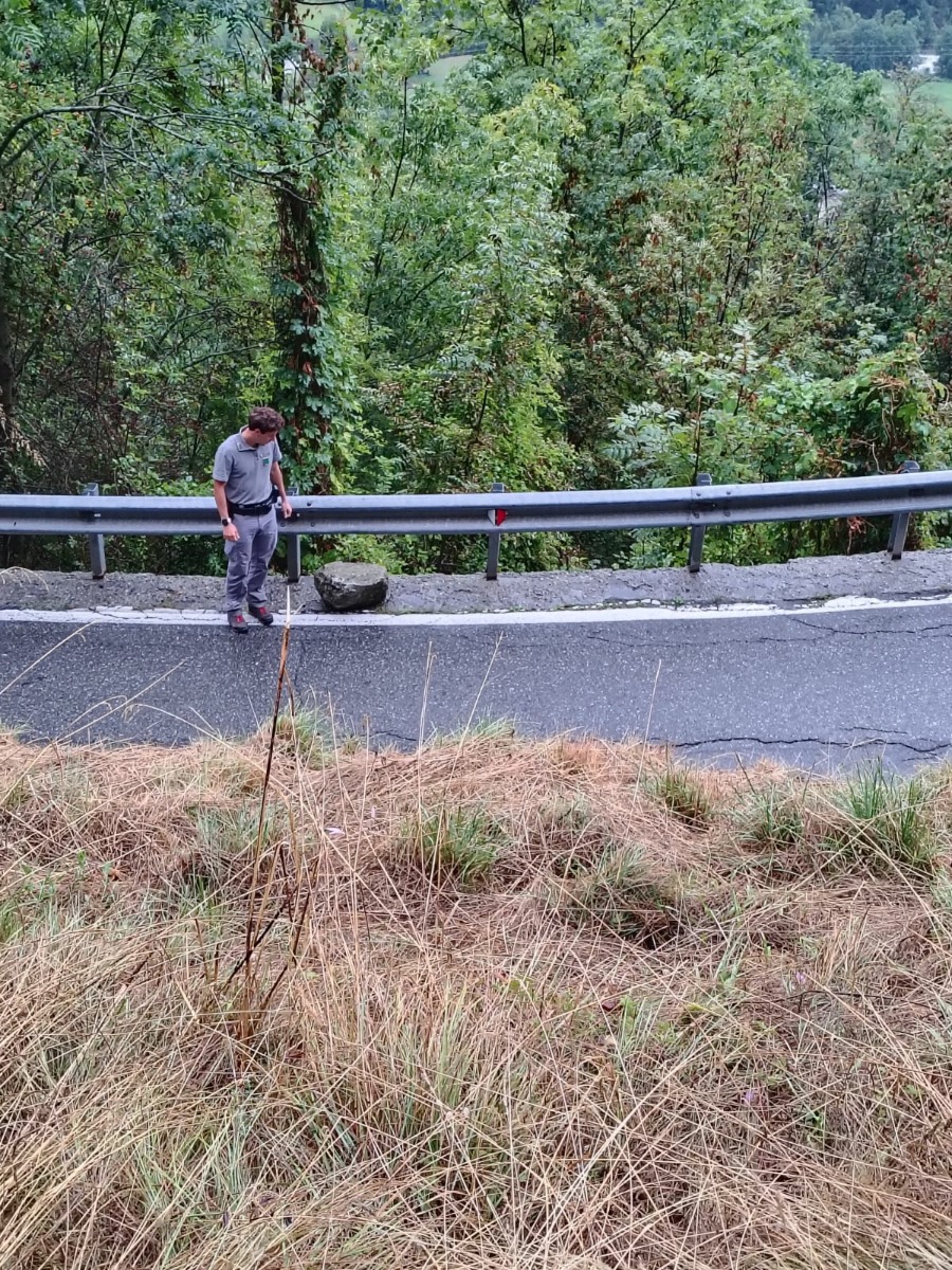 Scheda di dettaglio Cheillon